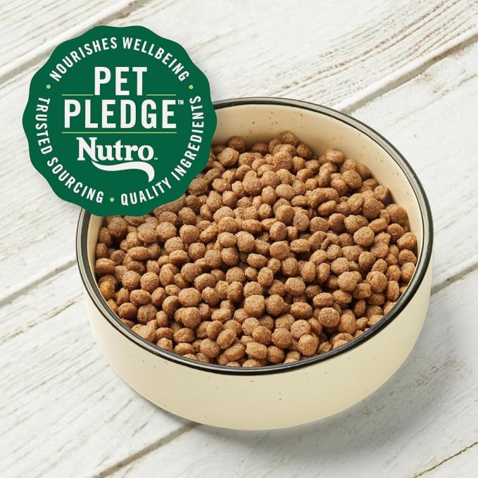 Nutro Max Mini Chunk Dry Dog Food, Adult Dog Food Dry Recipe with Farm-Raised Chicken, 25 lb. Bag