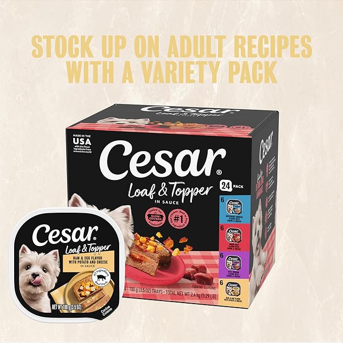Cesar Loaf & Topper in Sauce Wet Dog Food Ham & Egg Flavor with Potato & Cheese, 3.5 oz. Easy Peel Trays, 24 Count (Pack of 1)