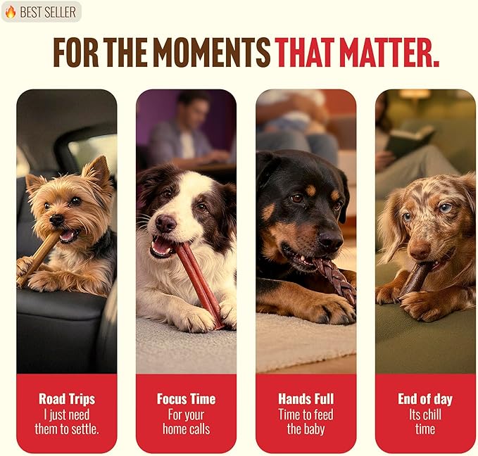 Natural Farm Bully Coated Gourmet Collagen Sticks (12 Inch, 5 Pack), Real Bully Beef Coated, 95% Natural Collagen, Supports Healthy Joints, Skin & Coat - Best for Small & Medium Dogs