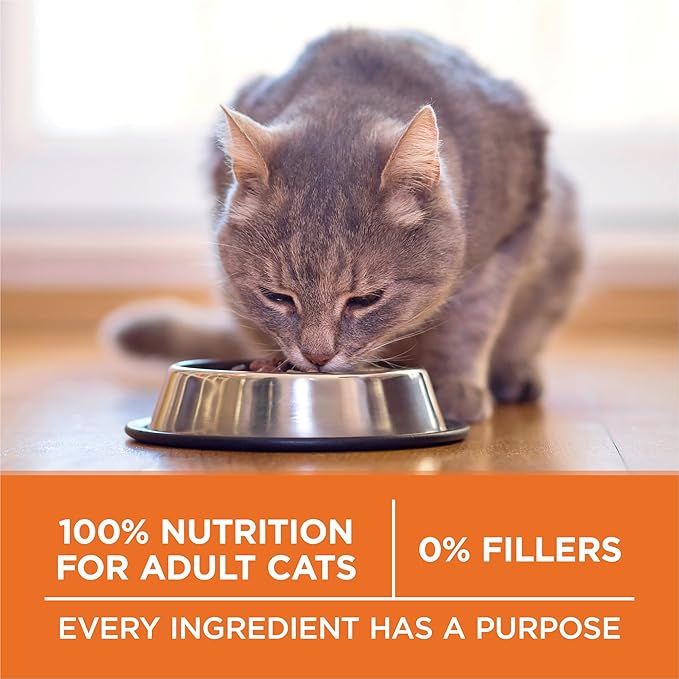 Purina ONE High Protein, Healthy Weight Plus Ideal Weight With Chicken Dry Cat Food - 3.5 lb. Bag