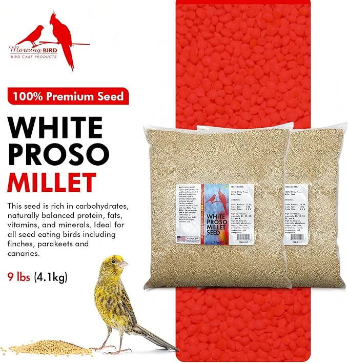 Morning Bird White Proso Millet 18 lbs (2-Pack, 9 lbs Each) Unhulled Natural Bird Seed – Supports Feather Growth & Balanced Nutrition – High Energy Seed - Ideal for Finches, Parakeets & Pet Birds