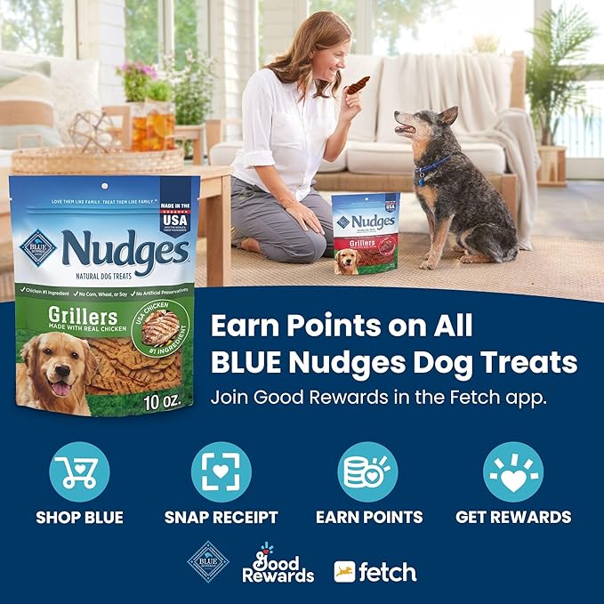Blue Buffalo Nudges Jerky Cuts Dog Treats, Made in the USA with Natural Ingredients, Steak, 16-oz Bag (Pack of 4)