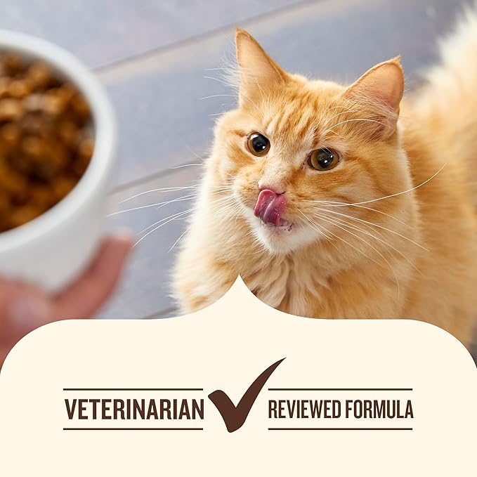 Nutrish Premium Natural Dry Cat Food, Real Chicken & Brown Rice Recipe, 14 Pounds (Packaging May Vary), (Rachael Ray Nutrish)