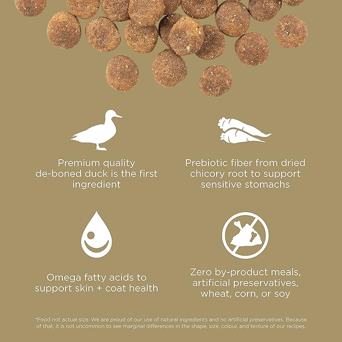 Go! Solutions Sensitivities Limited Ingredient Duck Grain-Free Dry Dog Food, Chicken-Free Kibble Made by Experts for Sensitive Stomachs & Food Allergies, for Puppies, Adults, & Seniors, 3.5 lb Bag