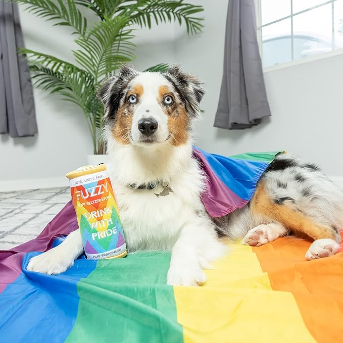 Huxley & Kent for Dogs | Fuzzy Soft Seltzer (Small) | Pride Funny Dog Toy | Power Plush Dog Toy with Squeaker | Dog Gift | Fun, Durable, and Safe | H&K Squeaky Dog Toy