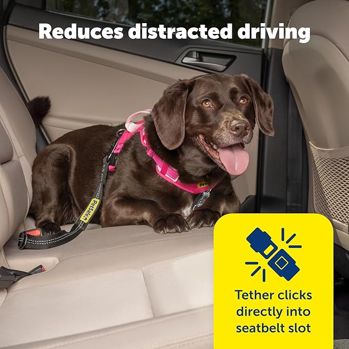 PetSafe Safety Seatbelt Tether Adjustable Dog Seat Belt for Car Works with Any Harness Carabiner Clip, Black - 1 Tether Included