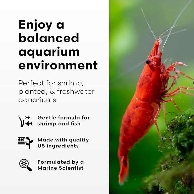 Brightwell Aquatics FlorinBacter7 Freshwater Aquarium Conditioner | Supports Biological Filtration | Removes Ammonia, Nitrite & Nitrate | Improves Water Clarity, 4L