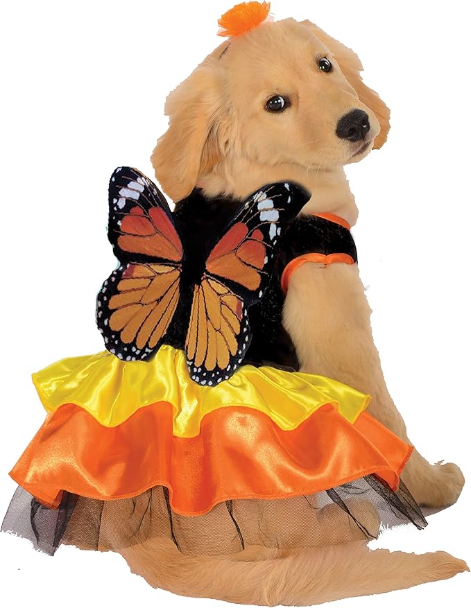 Rubies Monarch Butterfly Pet Costume for Dogs or Cats, Small