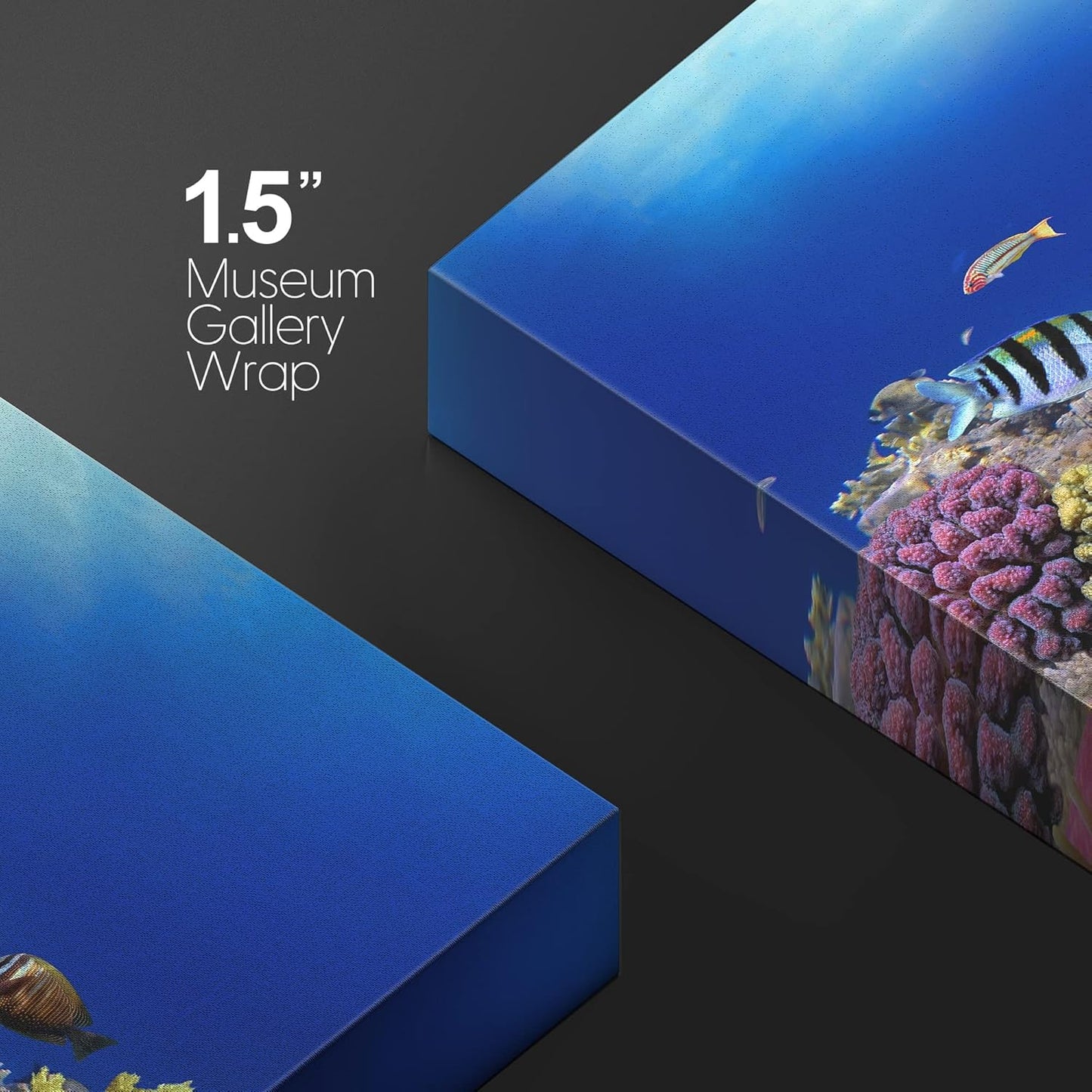 wall26 Canvas Print Wall Art Vibrant Coral Reef Anemone Fish Ecosystem Nature Animals Photography Realism Rustic Scenic Landscape Wilderness Earth Colorful for Living Room, Bedroom, Office - 16"x24"