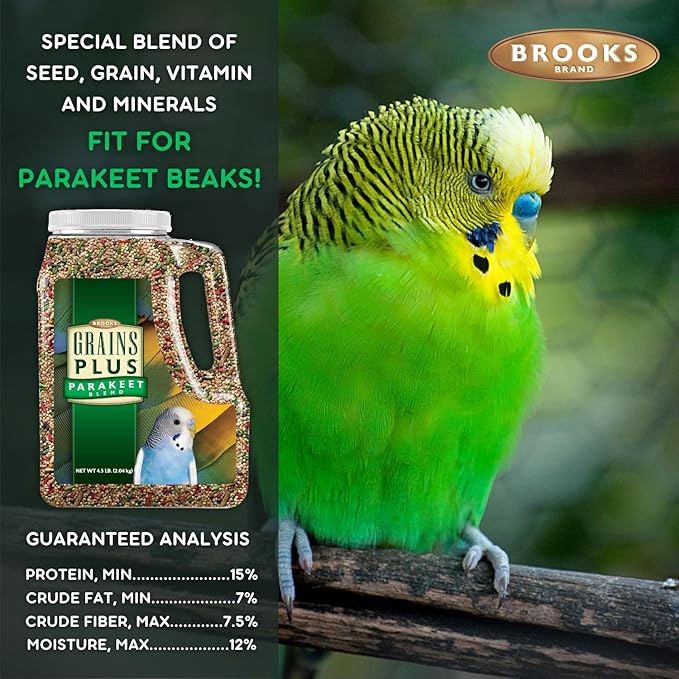 Brooks Brand Grains Plus Parakeet Blend, Bird Food Parakeet Bird Seed, Seed Mix, Millet for Budgie Seed (4.5 lbs Jug)