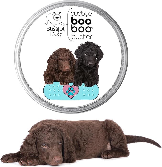 The Blissful Dog Curly-Coat Retriever Boo Boo Butter, 4-Ounce