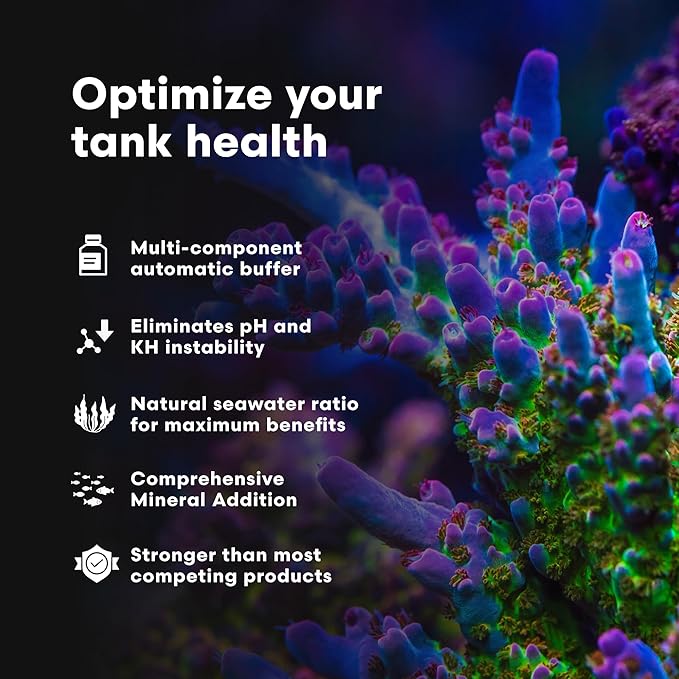 Brightwell Aquatics - Reef Code B - Balanced Calcium & Alkalinity System Water Conditioner - for All Saltwater Marine Fish & Reef Fish Tanks - Aquarium Water Treatments, 33.8 fl oz