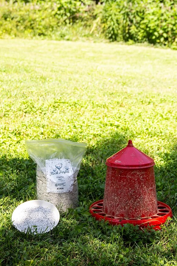New Country Organics | Flock Perfect Starter Grit for Chicks to Help aid in Digestion | 8 lbs