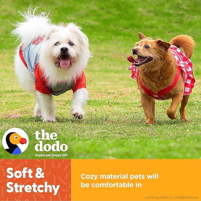 The Dodo #1 Dog T-Shirt for Dogs, Size Small; Black Dodo Print, Everyday Apparel for Dogs, Cute Dog Tee, Cute Clothes for Dogs, The Dodo for Dogs Collection
