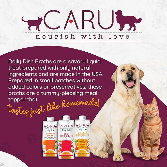 Caru - Daily Dish Pumpkin Broth - Meal Topper for Dogs & Cats - Supports Overall Pet Health - Pour-Over Broth for Wet/Dry Food - Human Grade Ingredients - Non-GMO - Made in USA - 12 Pack