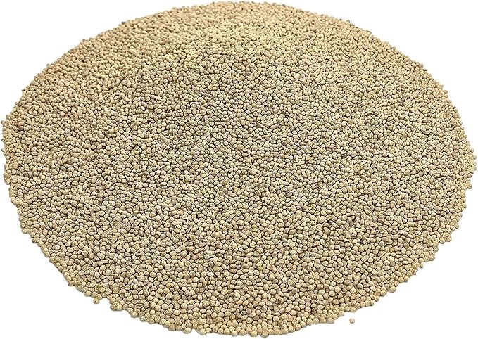 CZ Grain Premium White Millet Proso Seeds - Bulk Seeds, Bird Feed, Wild Bird Food (12 Ounces)