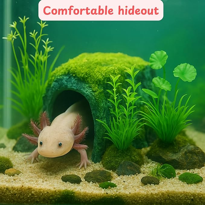 Axolotl Hides for Aquarium with Feeding Dish and Fake Plants Set, Axolotl Cave with Green Plants, Aquarium Decor, Fish Tank Decorations, Turtle Tank Accessories (Cave+Plant+Feeding Dish, L)