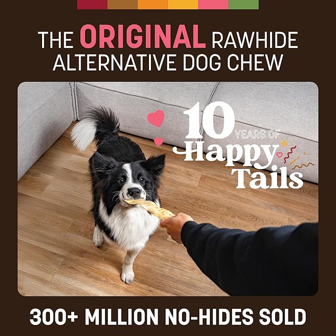 Earth Animal No Hide Strips - Natural Rawhide Free Dog Chew Strips, Salmon - 4 Count