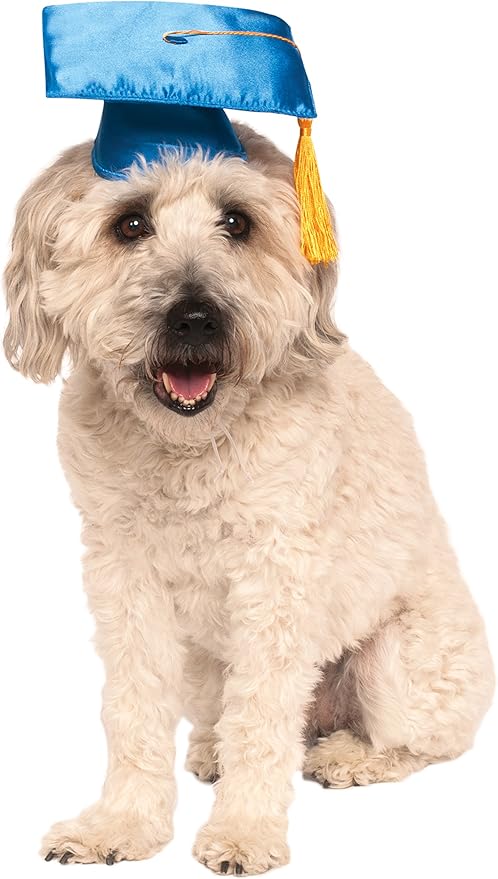 Rubie's Blue Graduation Hat Pet Accessory, Medium/Large
