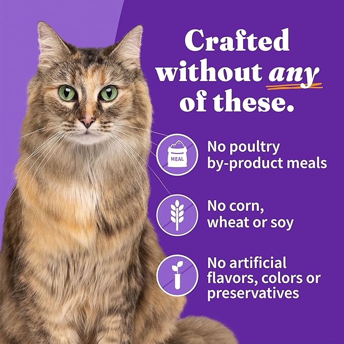 Halo Wet Cat Food Variety Pack,Grain Free Three Canned Wet Cat Pate,Chicken Stew,Salmon Stew & Turkey-Stew,5.5 Oz Can,(Pack of 24)