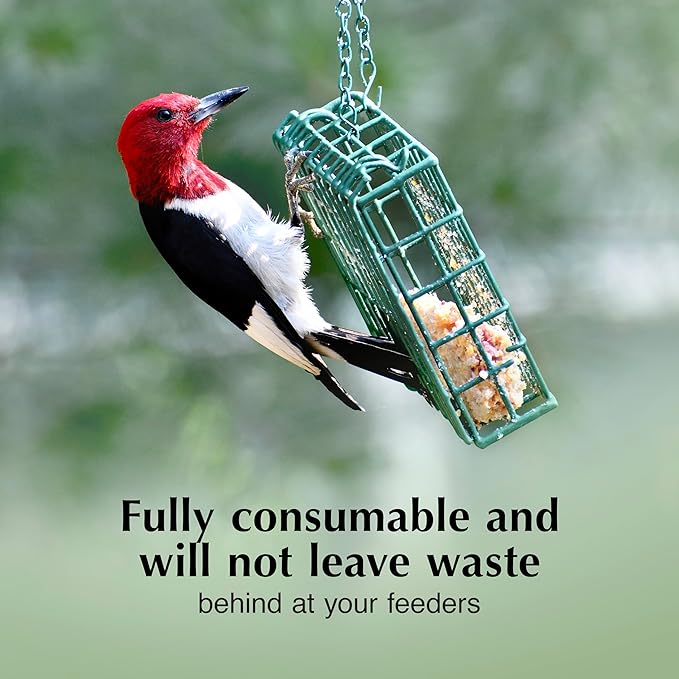 C&S Cranberry Delight No Melt Suet Dough, Suet Cakes for Wild Birds Including Robins, Blue Jays, Bluebirds, Tanagers, Thrushes and More, 8 Pack