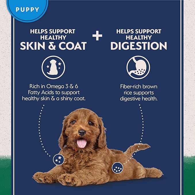 Natural Balance Limited Ingredient Puppy Dry Dog Food with Healthy Grains, Lamb & Brown Rice Recipe, 4 Pound (Pack of 1)
