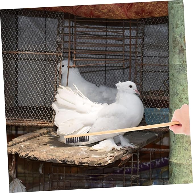 LIOOBO 2pcs Efficient Small Bird Cage Cleaning Brush Shovel Set Pet Hair Cleaner Brush for Rabbit Cleaning Supplies Chicken Coop Cleaner