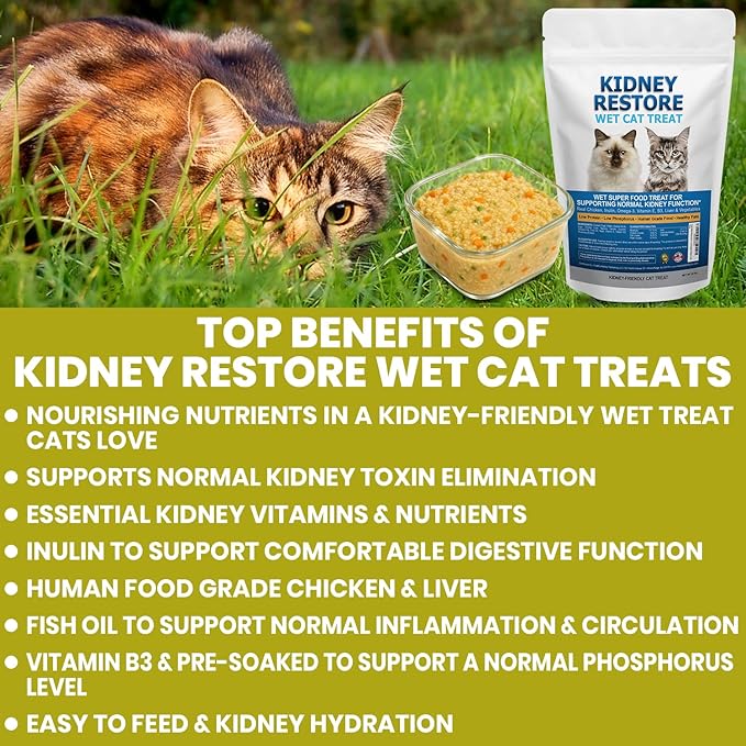 Fresh Made Kidney Care Cat Treat Wet - Renal Cat Treat for Feline Kidney Support - Low Sodium & Phosphorus Support for Cats - Best Feline Food, Feline Renal Support Made in USA