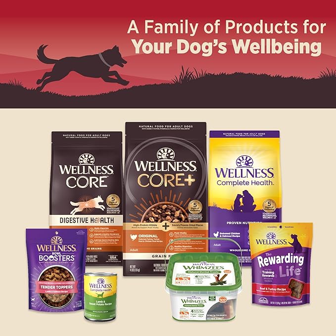 Wellness CORE 95% Adult Canned Wet Dog Food, Grain Free, Natural, Beef with Carrots Recipe, 12.5 oz, Pack of 12 Cans