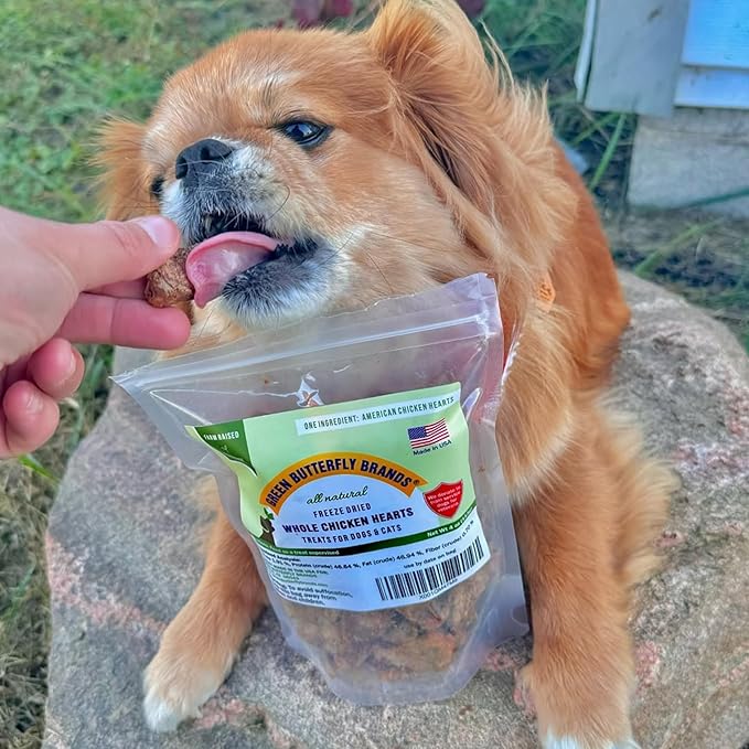 Freeze Dried Chicken Heart Dog Treats Made In USA. All Natural Freeze-Dried Raw Snacks for Dogs and Cats. One Ingredient. High Protein. Heart Health. Irresistible Training Treat