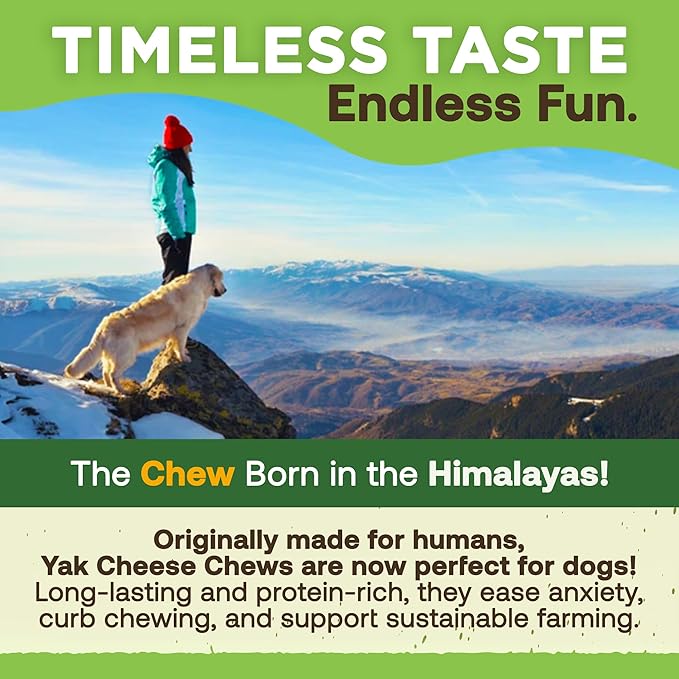 Ecokind Himalayan Chews, Healthy Treats, Odorless, Rawhide Free, Long Lasting Dog Bones for Aggressive Chewers, Indoors & Outdoor Use, Made in The Himalayas, Large (Pack of 20).