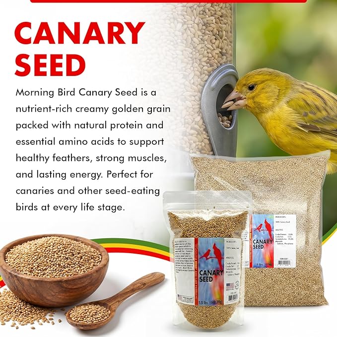 Morning Bird Canary Seed 9 lbs, Nutrient-Rich Bird Seed, Creamy Golden Grain Powerhouse - Supports Healthy Feathers & Strong Bones – Natural Daily Nutrition for All Bird Types