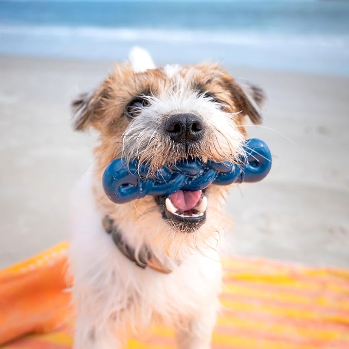 Nylabone Love Our Oceans Infinity Braid Bone Power Chew Toy for Dogs, Recycled & Sustainable Dog Chew Bones, Made in USA, Bully Stick Flavor, Small Dog Toys - Up to 25lbs, 1 Count