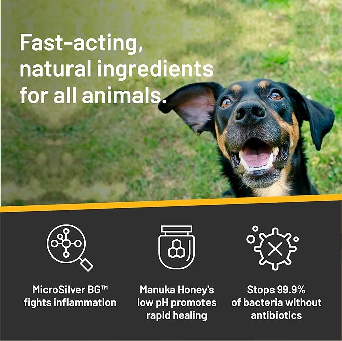 Absorbine Silver Honey Hot Spot & Wound Care Ointment for Dogs, Cats, Small Animals, 2 oz Tube Twin Pack