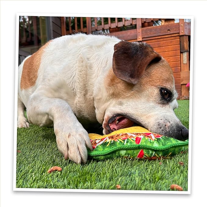 Doggijuana Tuffer Chewer Plush Dog Toy | Funny Dog Toy Plush with Juananip Catnip for Dogs | Calming Aid for Dogs | Interactive Squeaky Chew Toy for Play (Taco)
