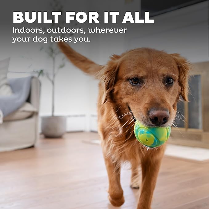 Outward Hound Grunt N' Punt Tennis Ball - Fetch Ball Dog Toy, Multi (Pack of 4)