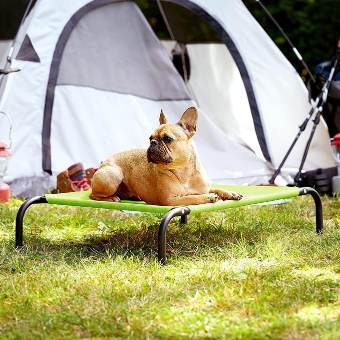 Furhaven Elevated Pet Cots - Cooling & Breathable Nylon Mesh Hammock for Small Dogs & Cats/Easy-to-Assemble/Durable and Reinforced/Perfect for Rest & Relaxation Outdoors - Gecko Green, Small
