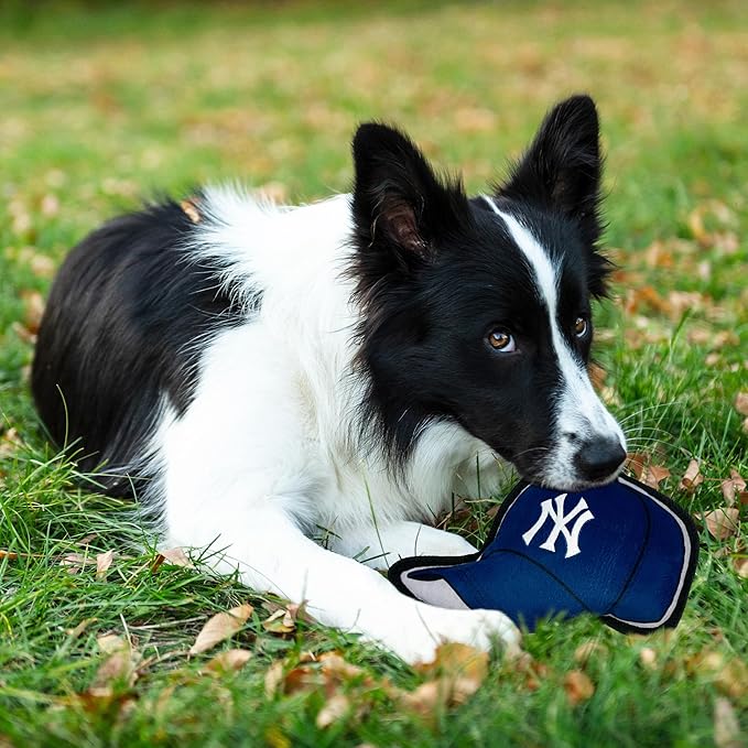 Pets First MLB New York Yankees Baseball Cap Tough Toy for Dogs, Best MLB Dog Toy with Team Logo