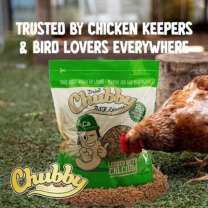 Chubby Dried Black Soldier Fly Larvae | 5 lbs | Non-GMO High-Protein Insect Treat for Chickens, Ducks & Wild Birds – Calcium-Rich Chicken Feed