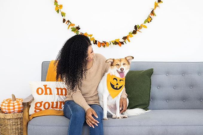 Pearhead Pumpkin Dog Bandana, Fall Pet Scarf for Halloween Costume, Slip-On Collar Accessory for Medium Large Pets, Autumn Puppy Outfit, Orange Seasonal Apparel