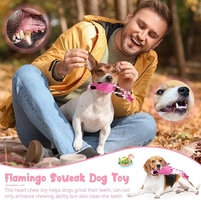 Sotiff 2 Pack Pink Flamingo Dog Plush Cute Squeaky Puppy Teething Plush Animal Interactive Stuffed Rope Pet Fake Birds for Small Medium Large Dogs Birthday Gifts