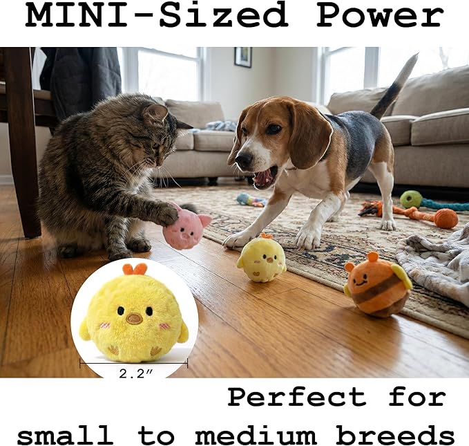 Fluffy Squeaky Pet Balls for Small Dogs and Cats (1, Piggy)