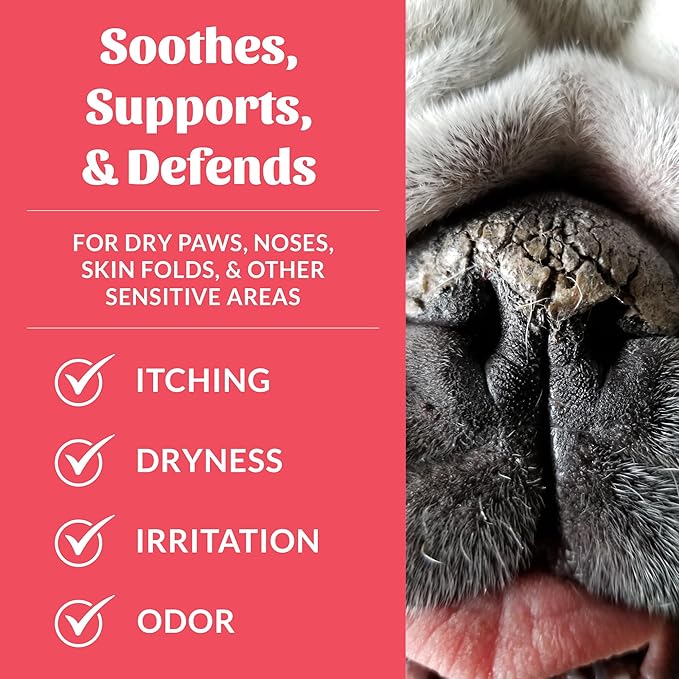 SKOUT'S HONOR Prebiotic Pet Balm - 100% Natural and Made with Manuka Honey to Promote Healing of Your Pet's Paw Pads and Nose, Soothes Dry, Itchy Paws and Noses - Safe for Cats and Dogs, 2oz