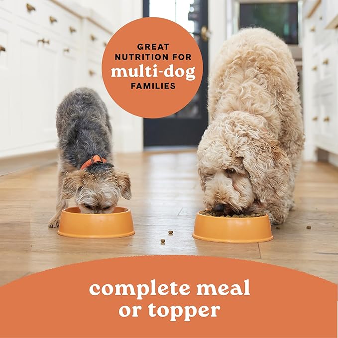 Canidae All Life Stages Premium Wet Dog Food for All Breeds, All Ages, Multi-Protein with Chicken, Lamb & Fish, 13 Ounce (Case of 12)