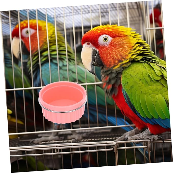 SUPVOX Bird Feeding Dish Cup Stainless Steel Parrot Food Bowl Clamp Holder for Bird Cage Easy to Install and Clean for Parakeets African Conures and Lovebirds