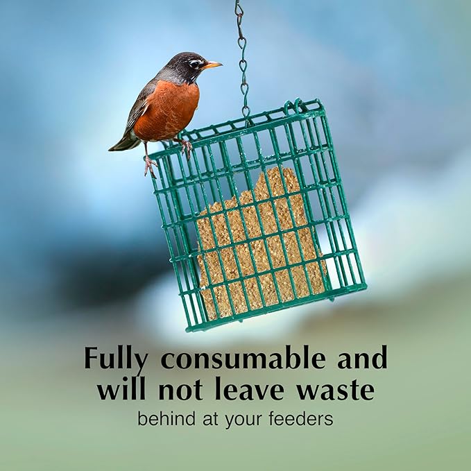 C&S Berry Delight No Melt Suet Dough, Suet Cakes for Wild Birds Including Robins, Blue Jays, Bluebirds, Tanagers, Thrushes and More, 11.75 Ounces, Pack of 8