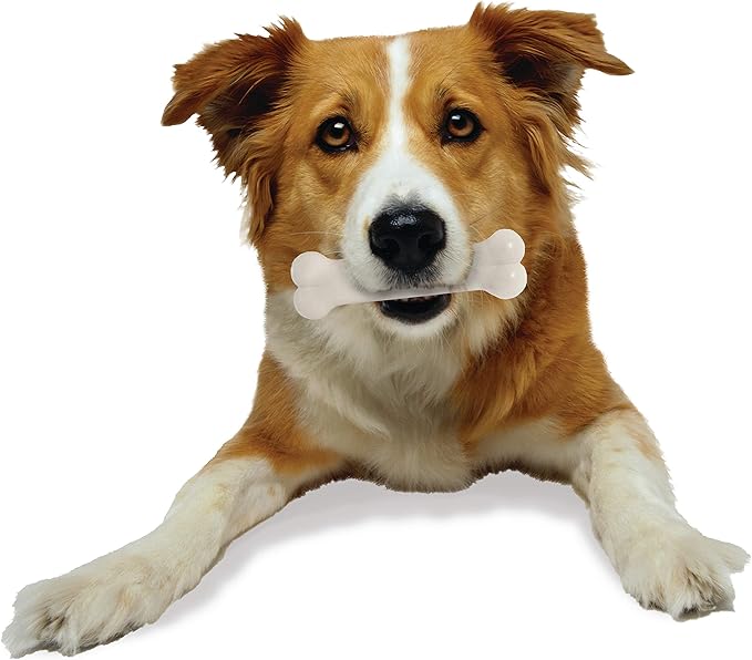 Nylabone Durachew Chicken Blister Card Wolf