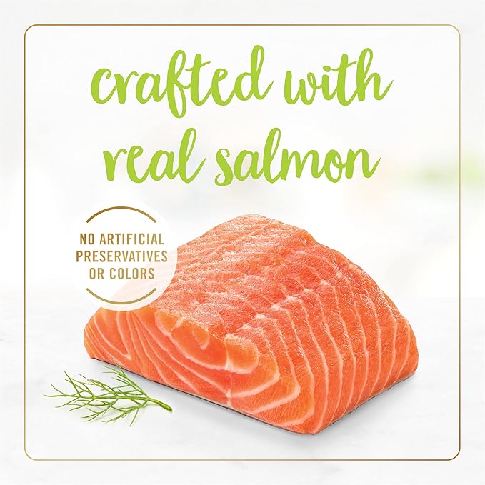 Fancy Feast Purina Grilled Wet Cat Food Salmon Feast in Wet Cat Food Gravy - 3 oz. Cans (Pack of 48)