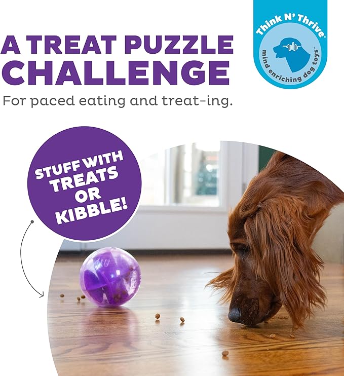 Outward Hound Orbee-Tuff Mazee Interactive Dog Puzzle Toy, Treat Dispensing Slow Feeder Ball, Purple, 4.7-Inch
