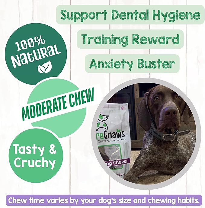 Nature Gnaws Beef Gullet Chews for Large Dogs 9-10" (50 Count) - Natural Beef Jerky Stick Dog Chew Treats - Rawhide Free